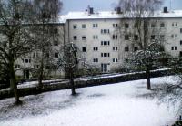 Erster Schnee 2005